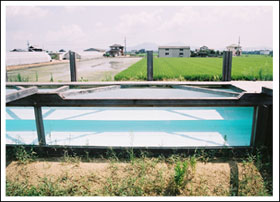 50 meters-length-river