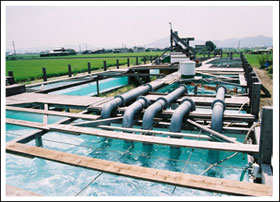 50 meters-length-river